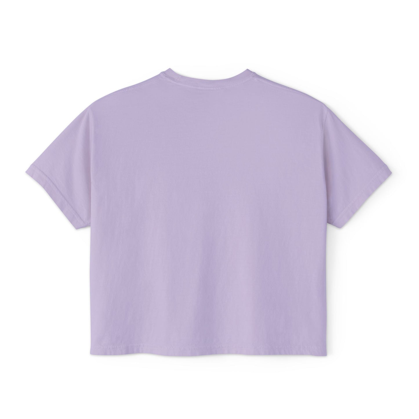 Women's Boxy Tee- Opossum and kitten neighborhood mom graphic