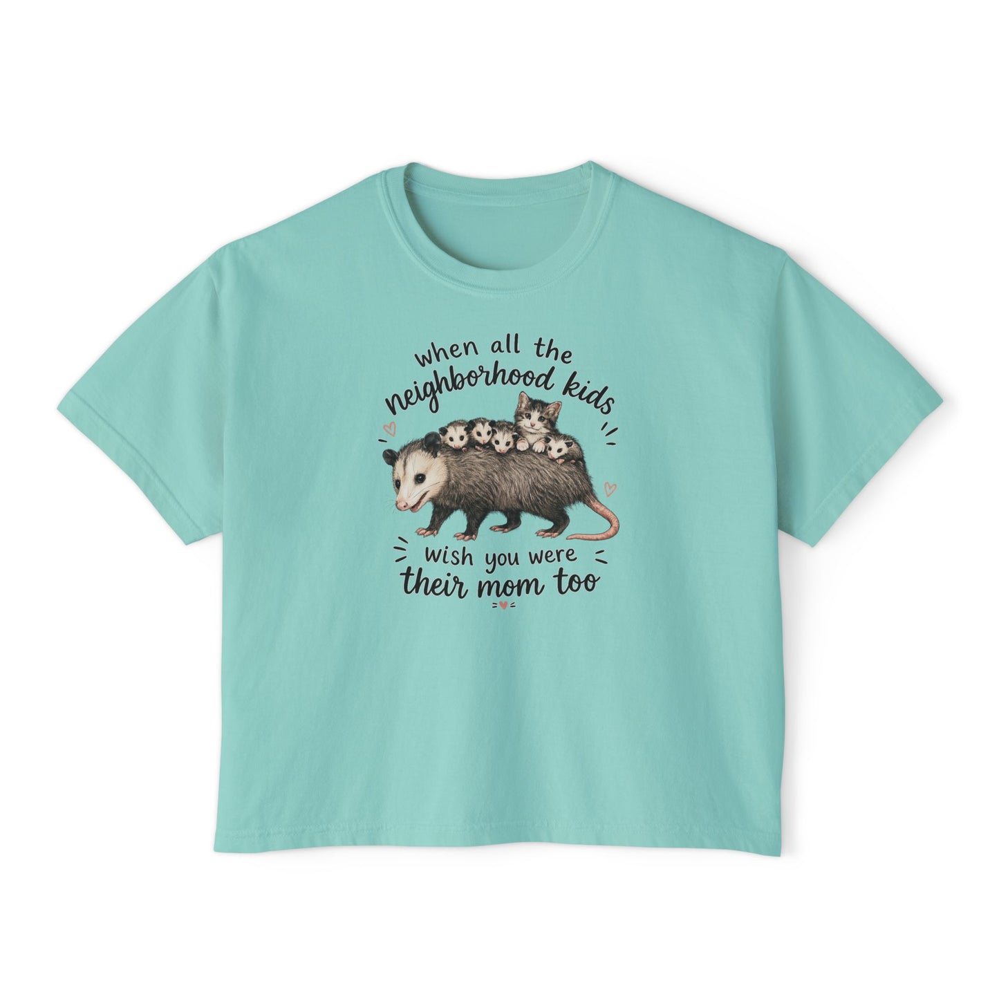 Women's Boxy Tee- Opossum and kitten neighborhood mom graphic