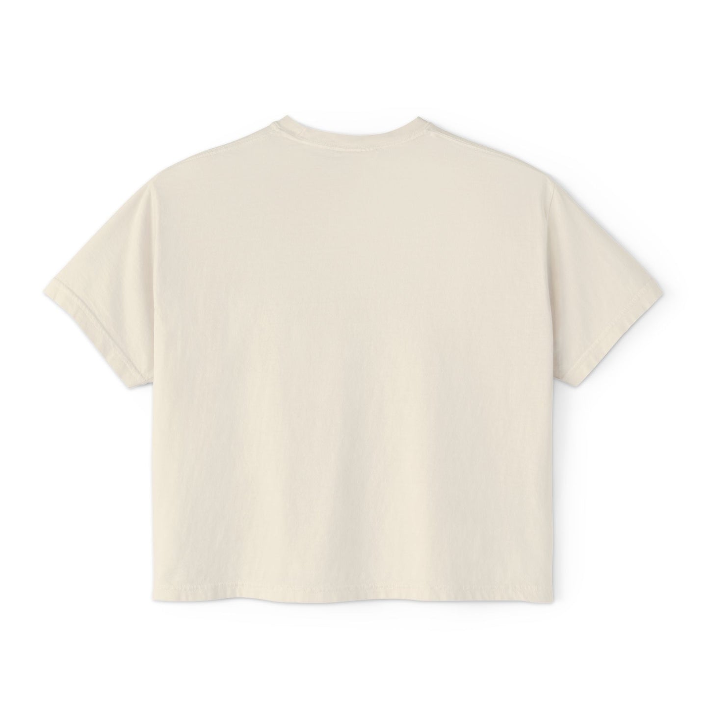 Women's Boxy Tee- Opossum and kitten neighborhood mom graphic