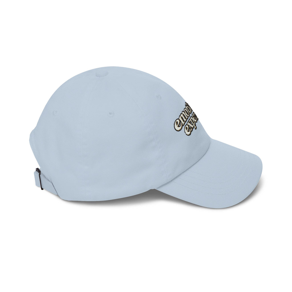 Emotionally Expensive baseball cap | embroidered script hat