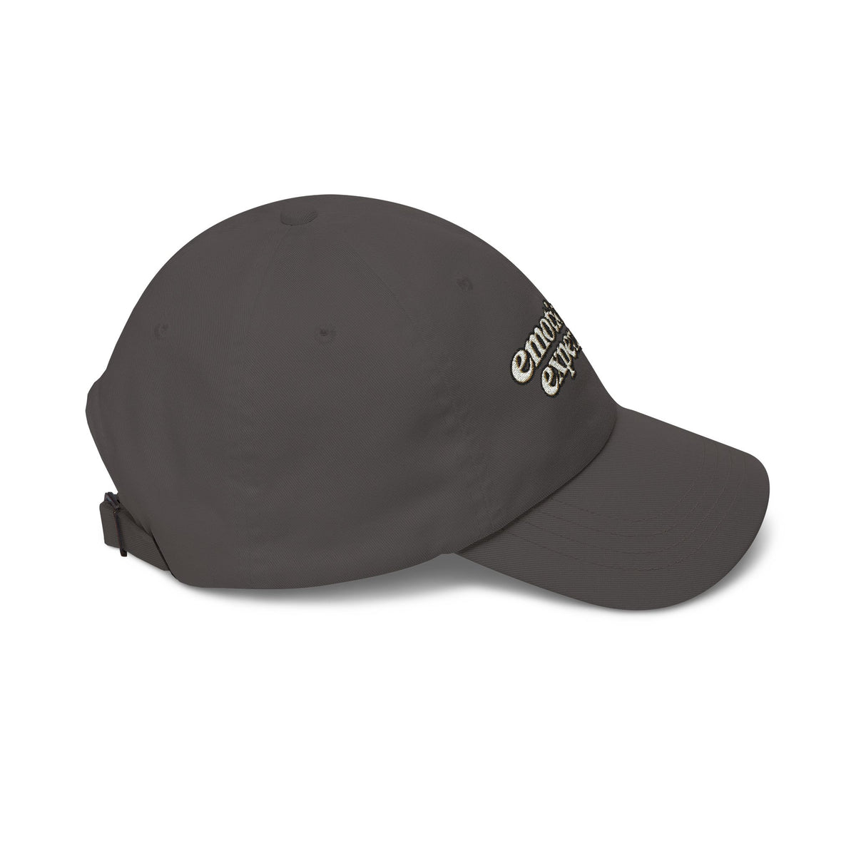 Emotionally Expensive baseball cap | embroidered script hat