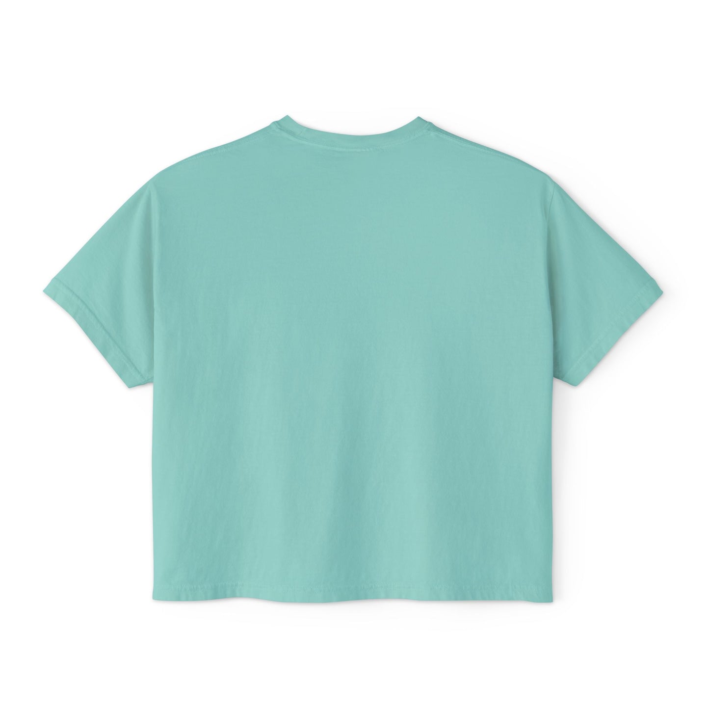 Women's Boxy Tee- Opossum and kitten neighborhood mom graphic
