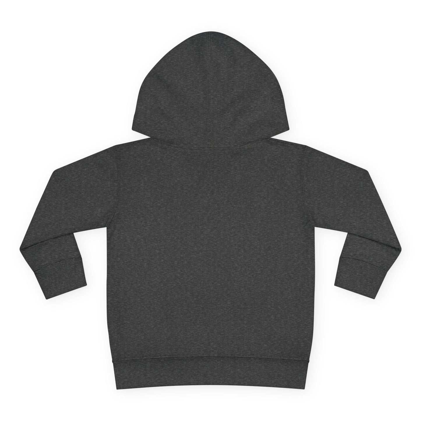 Future Hockey Pro Hoodie | Toddler Pullover Fleece, Hockey Graphic