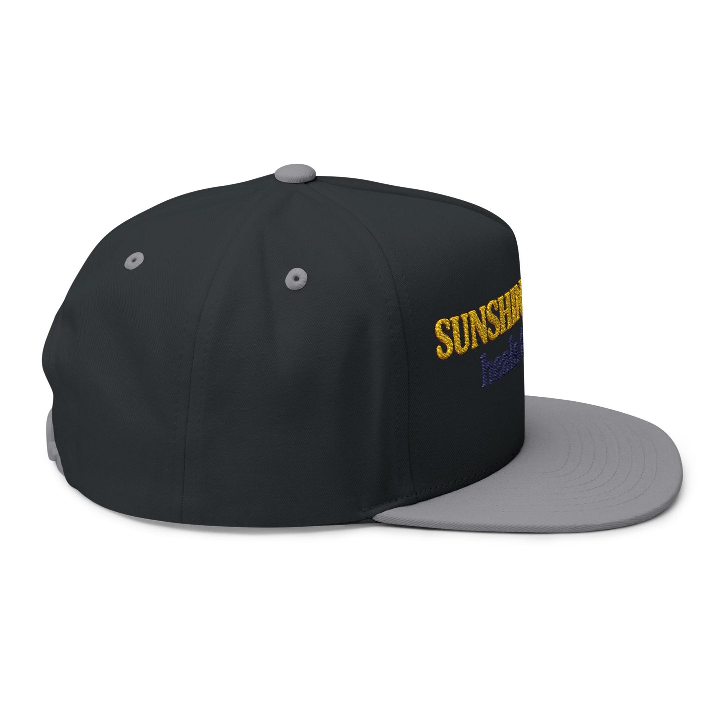 Sunshine and Disney heals the soul Flat Bill Cap | Embroidered Patch