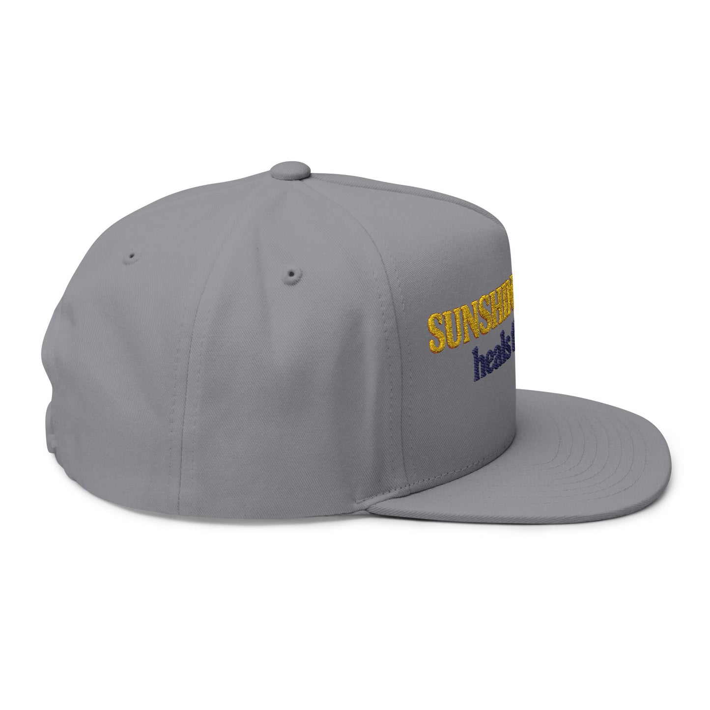 Sunshine and Disney heals the soul Flat Bill Cap | Embroidered Patch