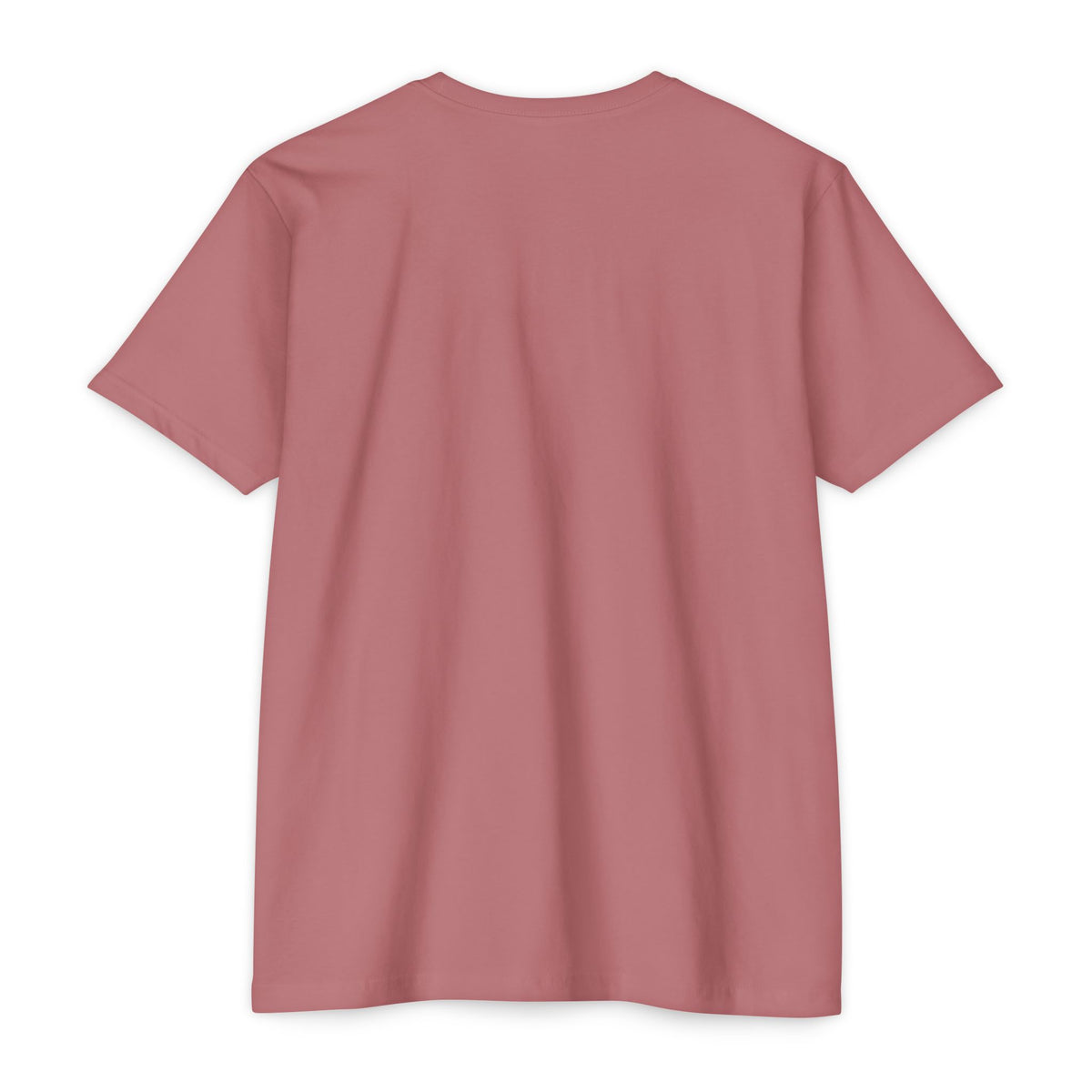 Christmas T-Shirt — "Merry & Slightly Matching" Festive Holiday Tee- Family pajamas