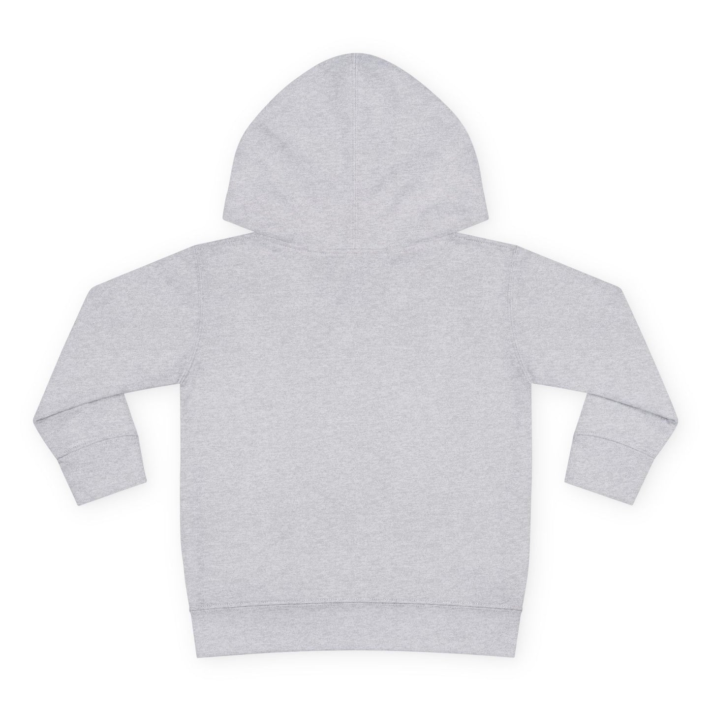 Future Hockey Pro Hoodie | Toddler Pullover Fleece, Hockey Graphic