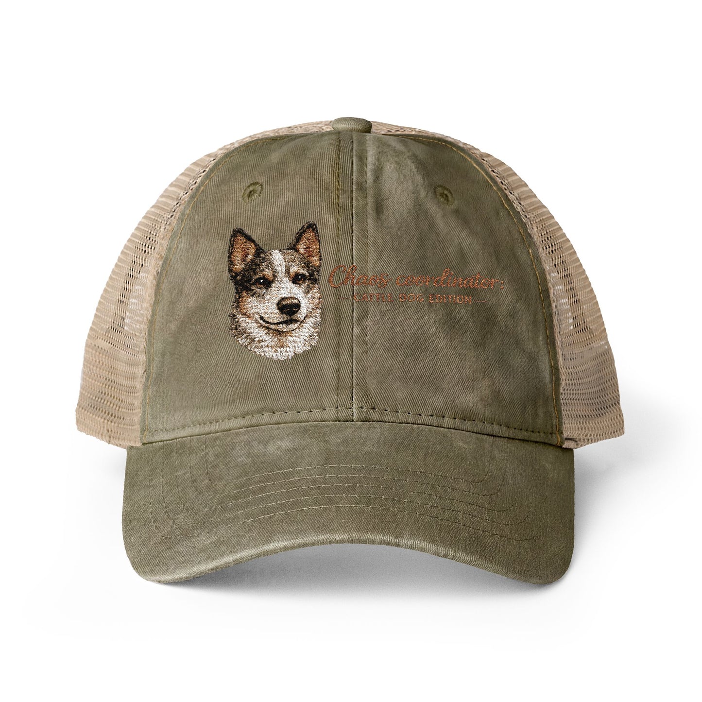 Women's funny Washed Mesh-Back Cap Chaos Coordinator embroidered Cattle Dog Edition hat