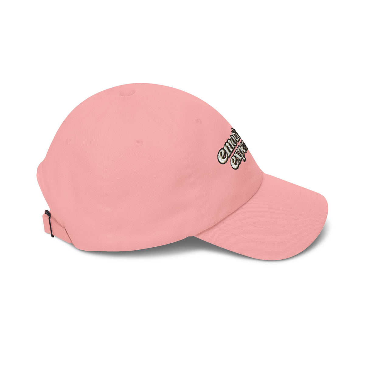 Emotionally Expensive baseball cap | embroidered script hat