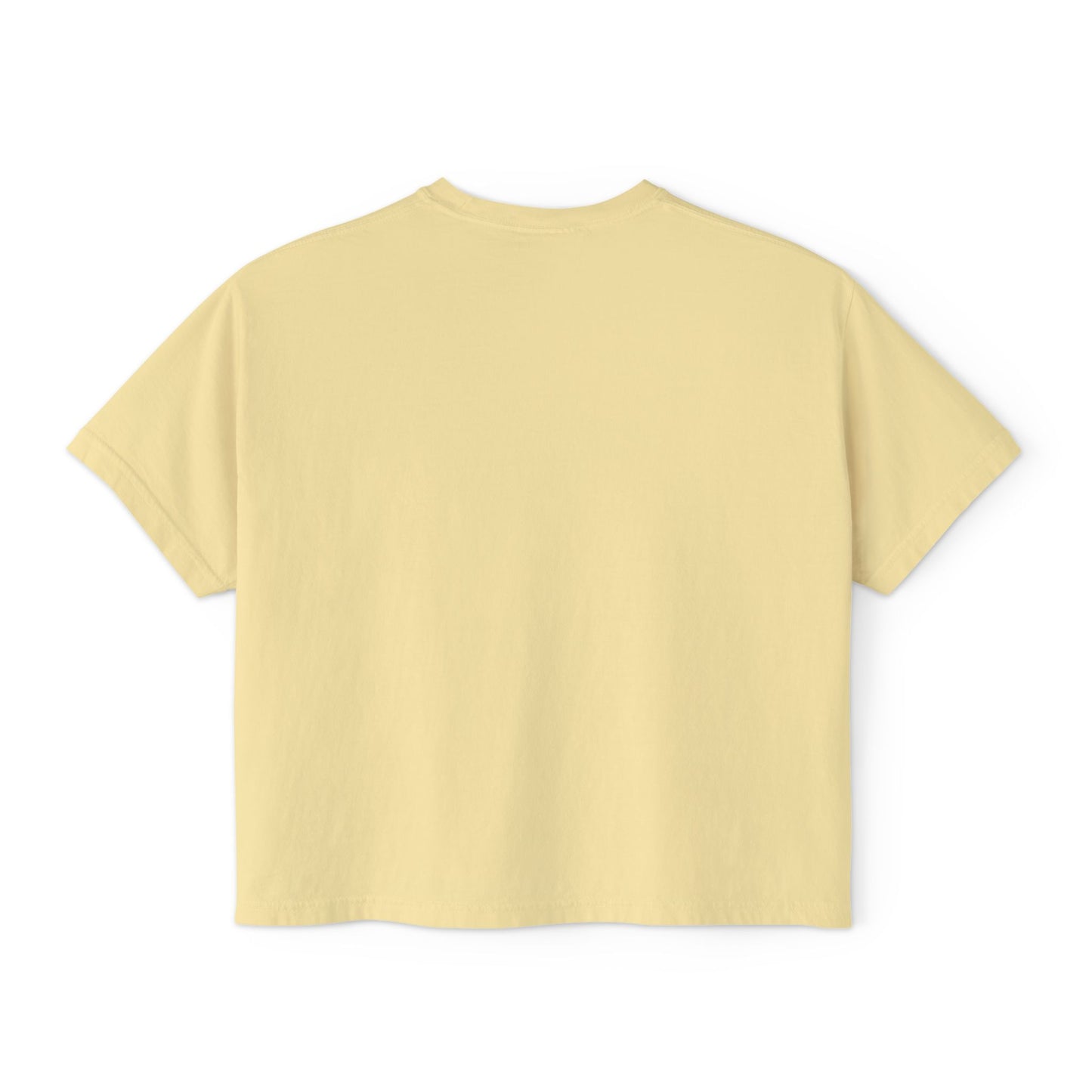 Women's Boxy Tee- Opossum and kitten neighborhood mom graphic