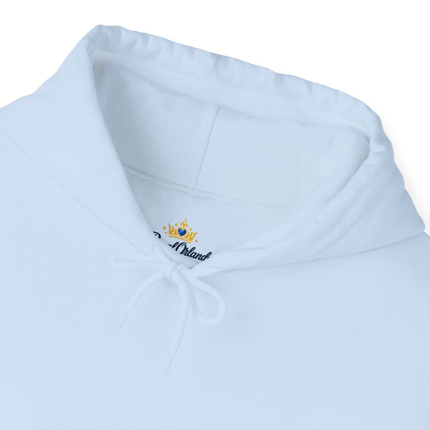 Cavapoo embroidered design on hooded sweatshirt