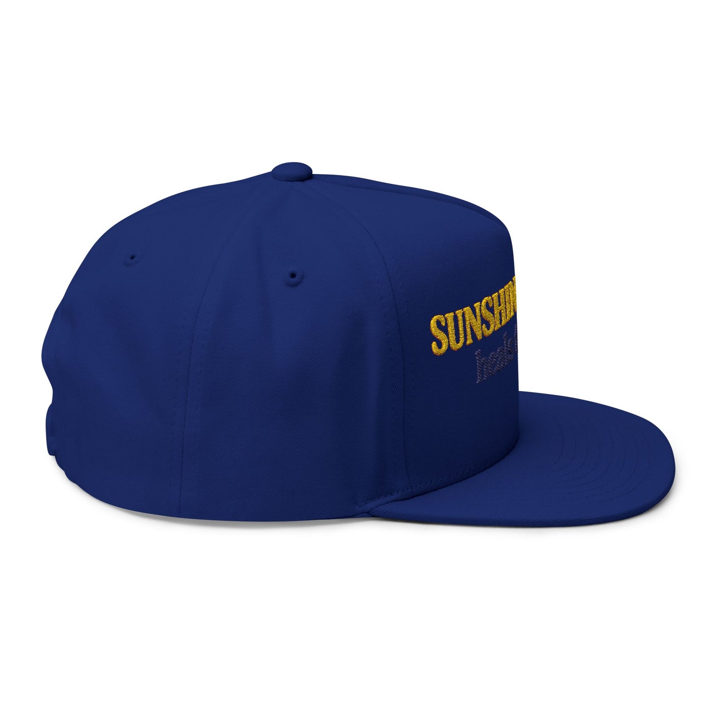 Sunshine and Disney heals the soul Flat Bill Cap | Embroidered Patch
