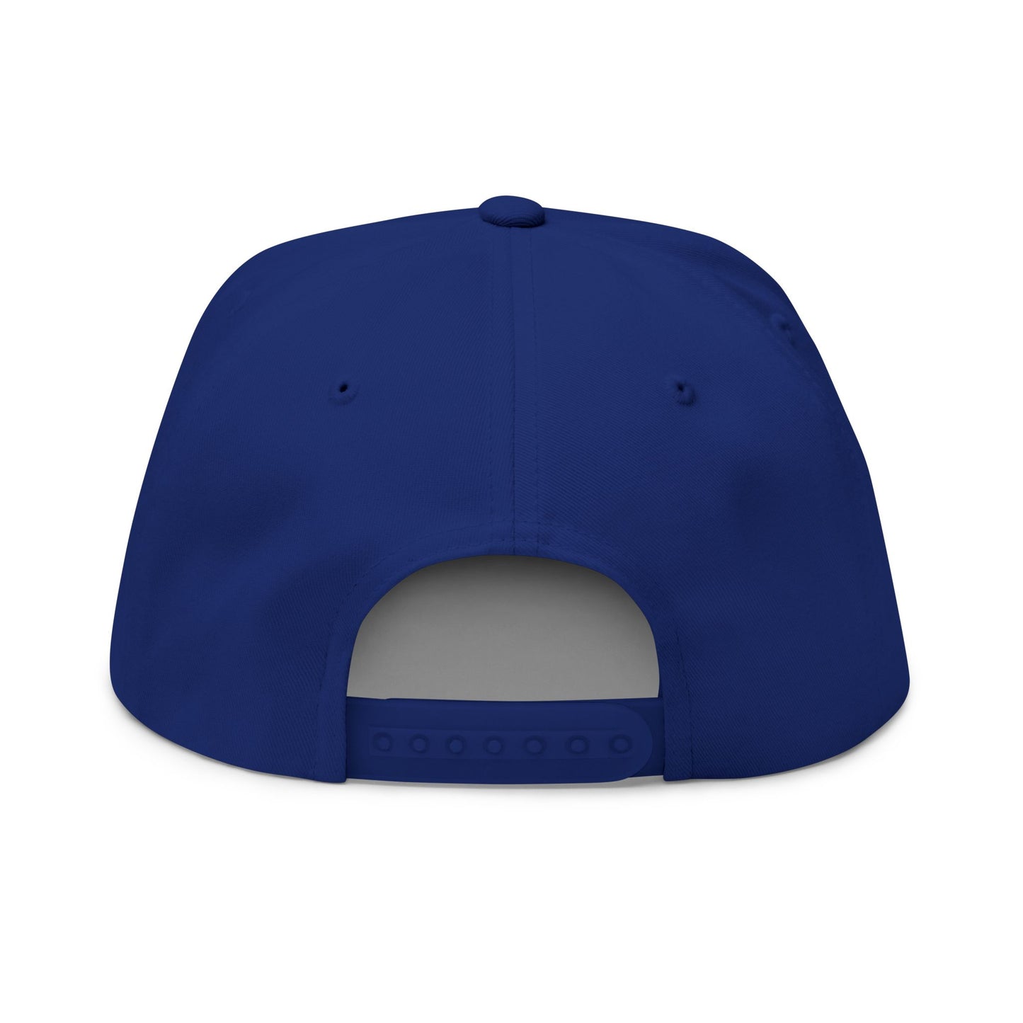 Sunshine and Disney heals the soul Flat Bill Cap | Embroidered Patch