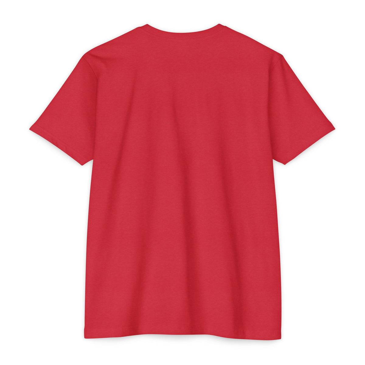 Merry & Slightly Matching Christmas T-Shirt- Family and Friends holiday pajama shirts