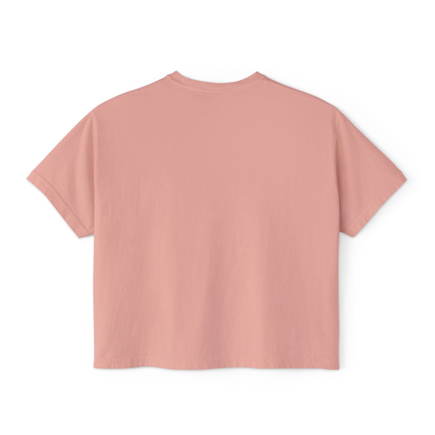 Women's Boxy Tee- Opossum and kitten neighborhood mom graphic